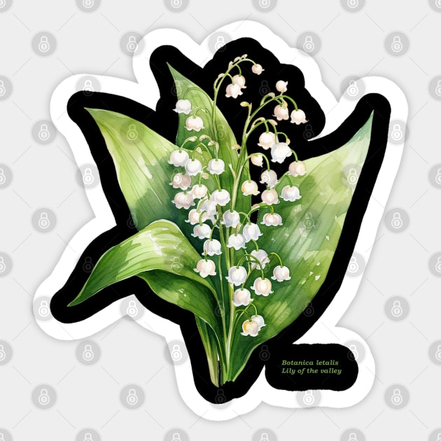 Botanica letalis - Lily of the valley - white flowers Sticker by OurCCDesign